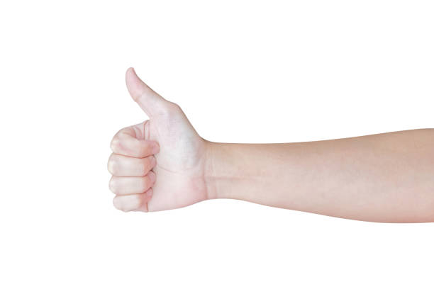 istock man hand gesture thumb up sign isolated on white background 1483701840