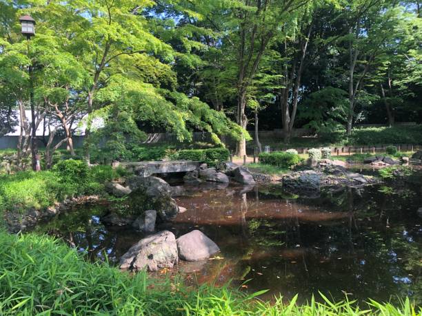 istock Japanese flowers and trees 1483705781