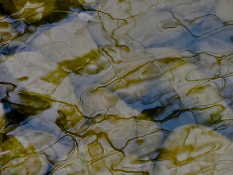 Ontario River Rock's - semi-transparent below the shallow water's surface with patterned wave reflection along the riverbank in a public park

- In full frame

Location
Victoria Lake, Stratford ON CA