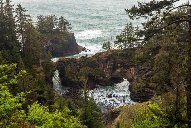 istock Natural Bridge rock in the Samuel Boardman Scenic Corridor in Oregon 1483713709