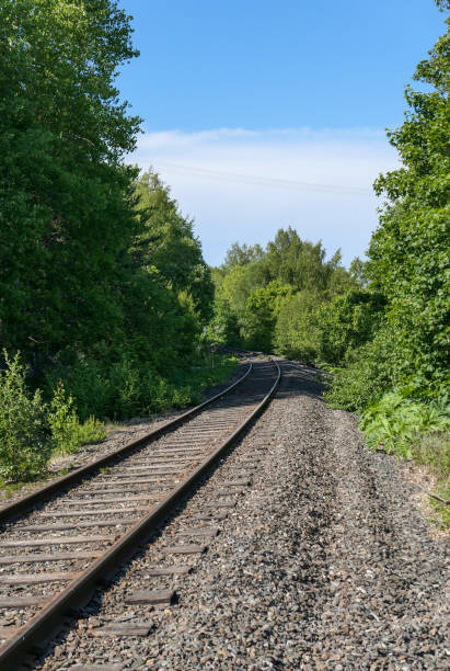 istock Empty railroad track amidst trees against sky 1483714235