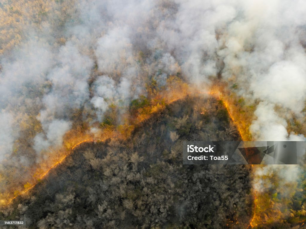 Climate change, Wildfires release carbon dioxide (CO2) emissions and other greenhouse gases (GHG) that contribute to climate change and global warming. Climate Change Stock Photo