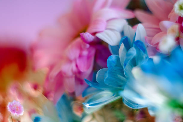 Abstract blurred floral background with soft focus. Macro. Defocus