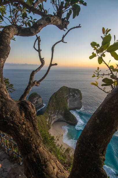 istock Klingking Beach Nusa Penida Bali 1483721305