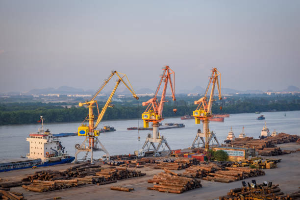 istock Cranes at Hai Phong Port during late afternoon 1483727885
