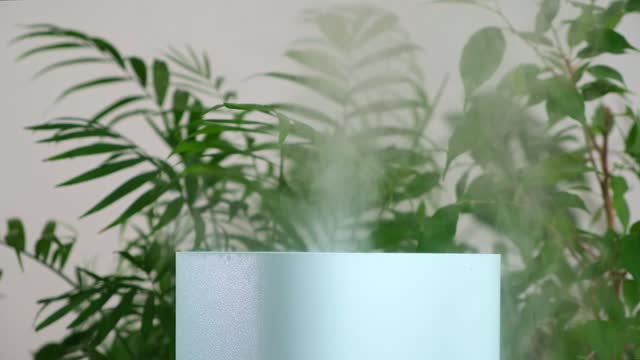 The ultrasonic humidifier releases cold steam. Care and hydration of plants in dry air.