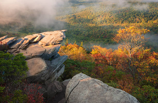 istock Blue Ridge Parkway, North Carolina. 1483736011