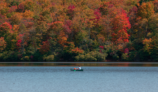 Woman is kayaking in Julian Price Lake on Blue Ridge Parkway in fall season.