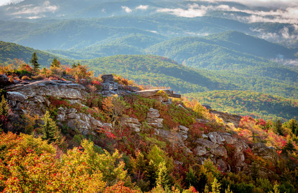 istock Blue Ridge Parkway, North Carolina. 1483737146