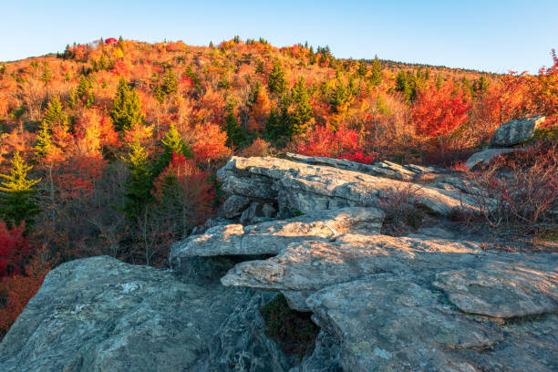 blue ridge parkway, karolina północna. - blue ridge mountains blue ridge parkway north carolina autumn zdjęcia i obrazy z banku zdjęć