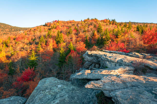 istock Blue Ridge Parkway, North Carolina. 1483737162