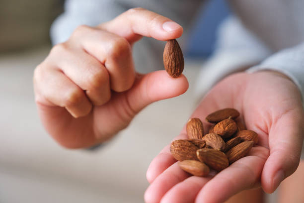 istock Closeup image of hands holding and picking up an almonds 1483741810