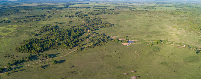 Aerial view of typical rural landscape in Pantanal wetlands, Mato Grosso, Brazil