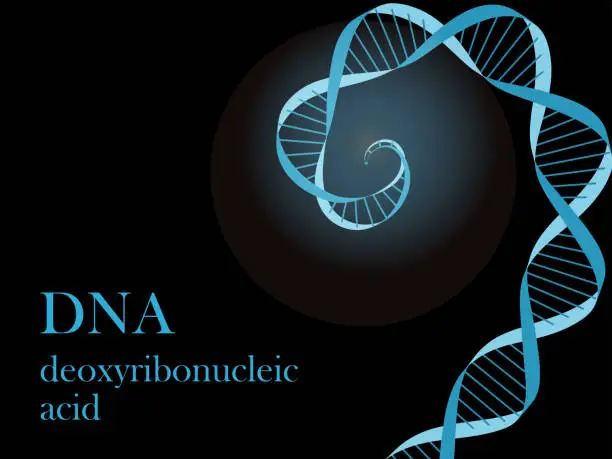 Vector illustration of Illustration of the image of DNA (deoxyribonucleic acid) ・Blue