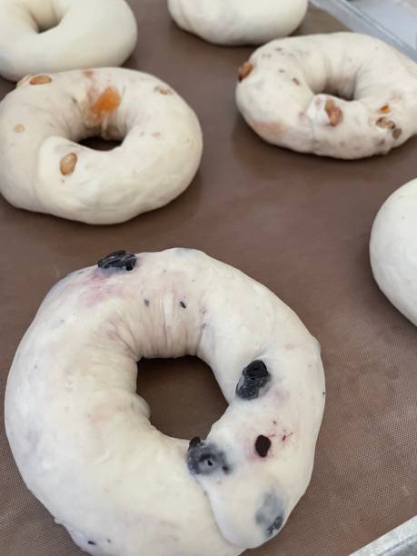 istock blueberry bagel and walnut bagel. 1483748427