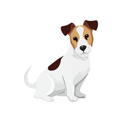 Dog drawn in cartoon vector style. Domestic animal. Pedigree dog. Used for printing, stickers, collages, web design.