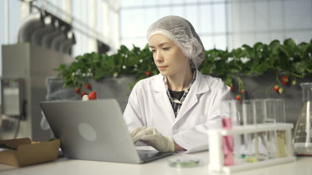 4K Female Scientist Using Laptop Computer Working At Organic Strawberry Farm