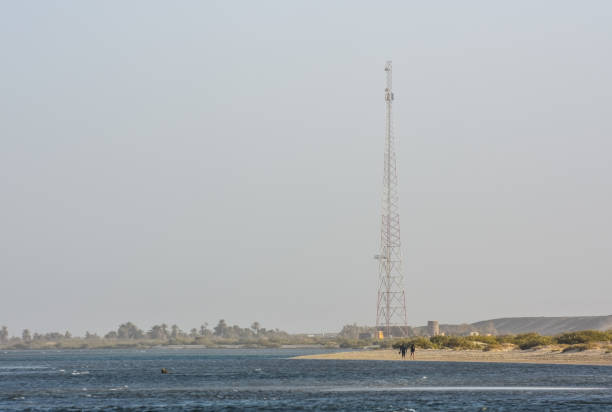 A red and white communication tower stands tall on a grassy hill surrounded by leafless trees under a clear blue sky. The scene captures a mix of technology and nature in a rural setting.