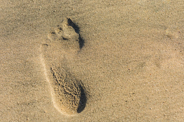 istock footprint left on the fine sand from the beach in egypt 1483761392