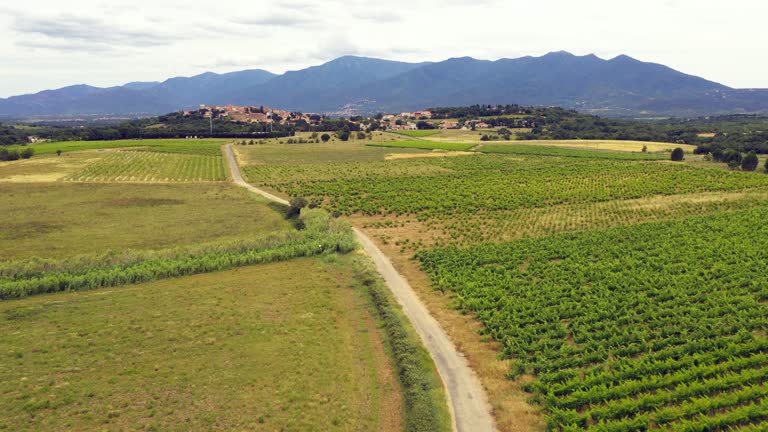 Aerial view of vineyard in languedoc roussillon region south of France