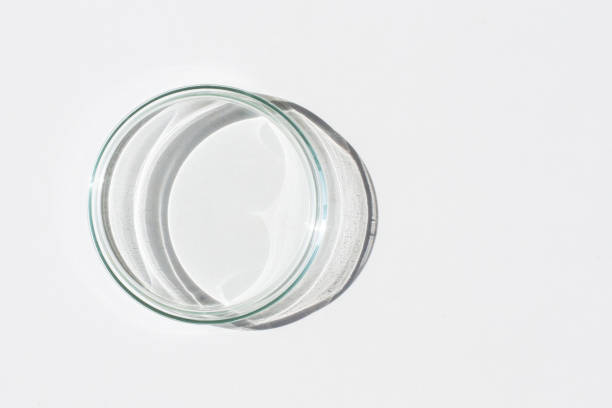 istock Empty Petri dish. On a white background. Bright sunlight. Deep shadows. Contrast. Laboratory. Petri dishes. 1483763739