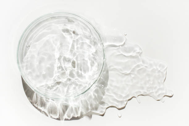 istock An empty Petri dish is poured out with spilled water or liquid. Waves, lab, reaction. 1483764672
