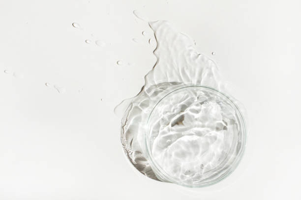 istock An empty Petri dish is poured out with spilled water or liquid. Waves, lab, reaction. 1483764673