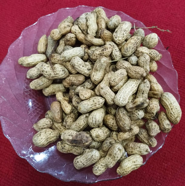 Photo of boiled peanut food in a plate container