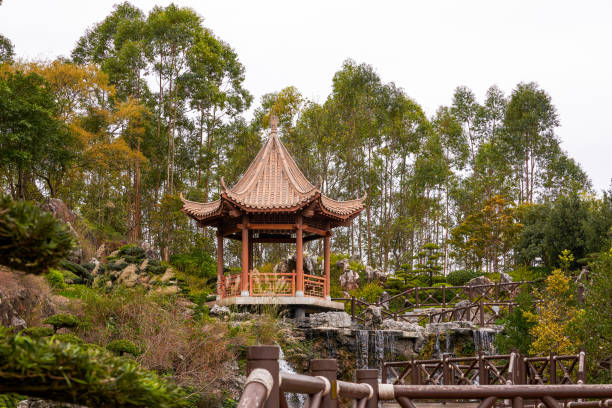 istock Gazebo in a luxurious traditional Chinese garden 1483769367
