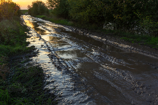 Vanishing dirt road with deep rut and puddles in village at sunset.