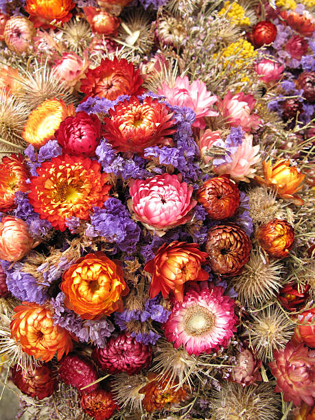 istock Colorful dried flowers 148377809