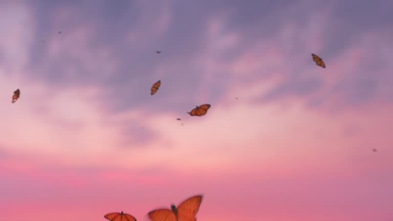 butterfly, nature, animal, background, landscape, sky,Butterfly - Insect, Freedom, Flying, Animal Migration, Animal