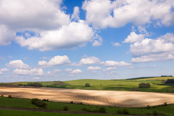 Beautiful views looking east over the south downs from the outskirts of Stamner park east Sussex south east England