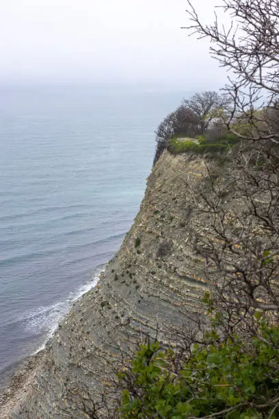 Photo of rocky seashore, rocky landscape with fog in the distance