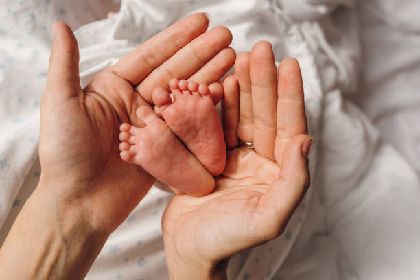 istock Mother’s hands holding new born baby’s feet 1483786147
