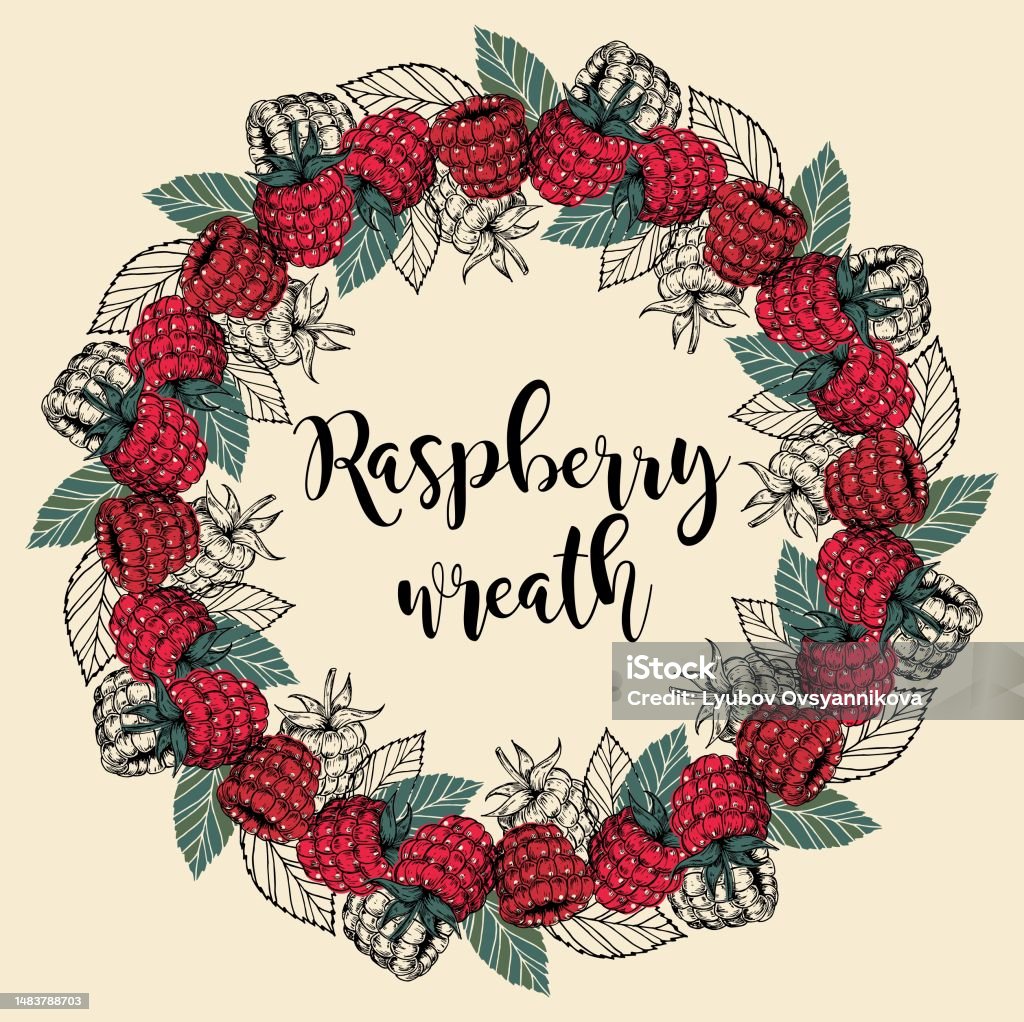 Wreath Raspberry Raspberry Vintage Wreath Frame With Raspberry Berries And Leaves Stock ...