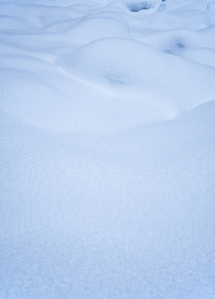 istock Snow texture. Natural winter background with snow waves 1483790705