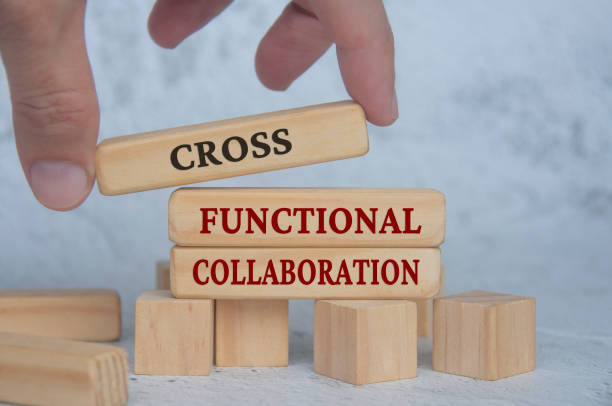 istock Hand placing wooden blocks with cross functional collaboration text on wooden blocks. Operational excellence and business concept 1483791760