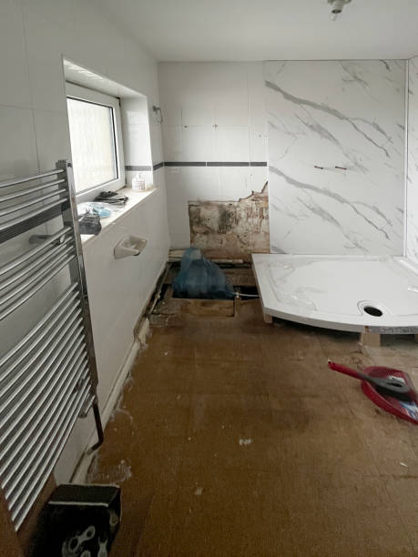 istock Domestic bathroom renovation 1483793577