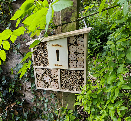 An insect house in a garden