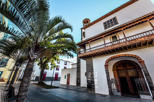 Santa Cruz de Tenerife, Spain - 10th of November, 2022. Palm Trees Near Iglesia de Nuestra Señora de la Concepción