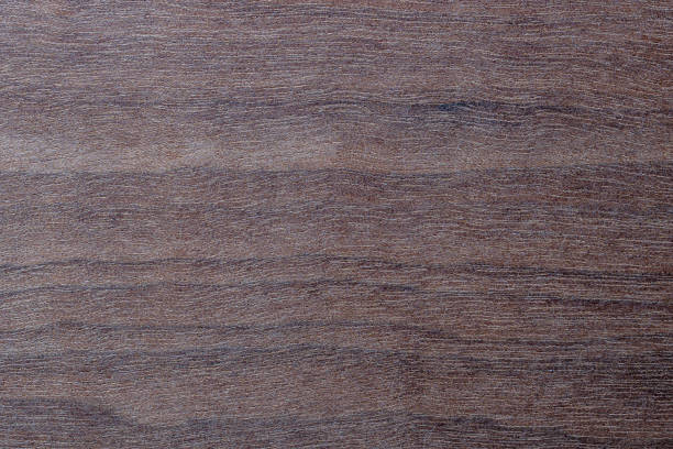 istock Dark wood texture template with natural pattern, closeup. Empty arboreal background 1483797883
