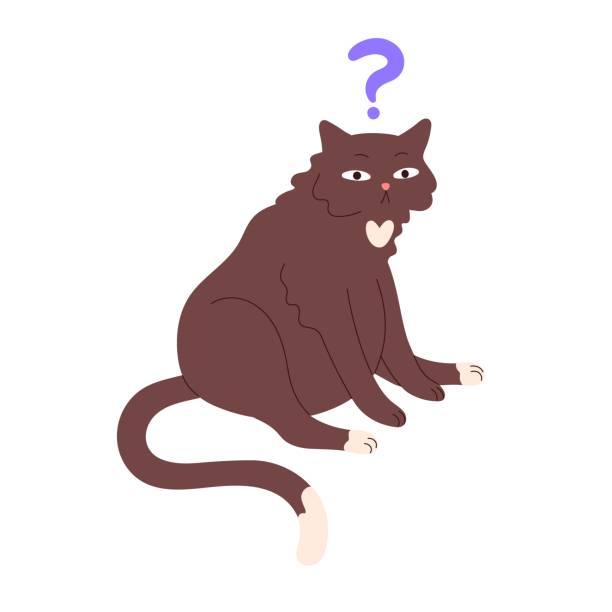60+ Confused Cat White Background Stock Illustrations, Royalty-Free ...