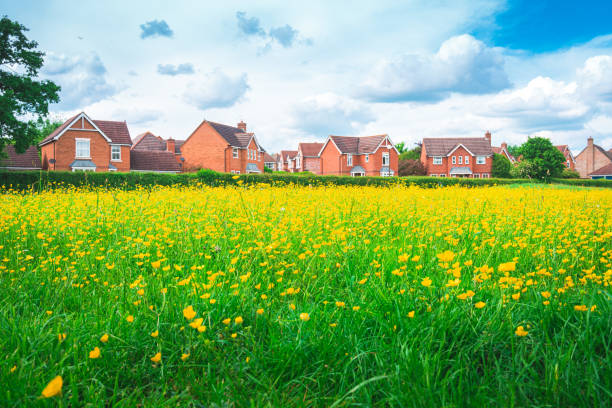 British town landscape view with blooming rapeseed foreground in England uk