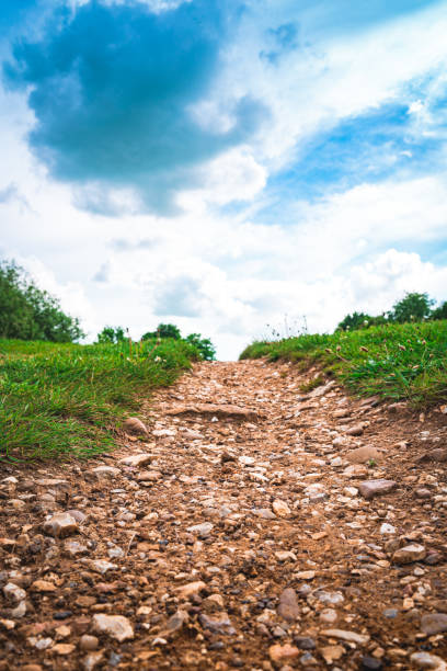 Path of road at nature