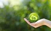 Reduce CO2 emission concept. Hand holding the green ball with CO2 emission reduction icon.Sustainable development and green business based on renewable energy.Net zero greenhouse gas emissions target