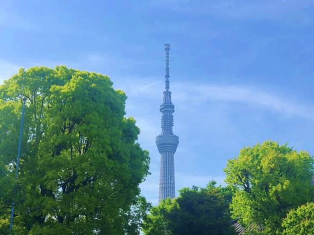 istock Beautiful scenery of Japan 1483805037
