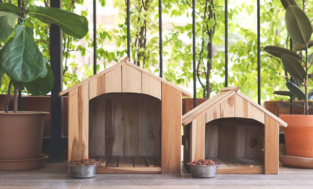 dwa puste drewniane domki dla psów z miskami na karmę dla psów na balkonie ozdobione rośliną doniczkową w doniczkach. - spring bud horizontal color image zdjęcia i obrazy z banku zdjęć