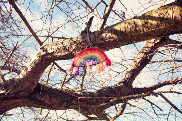 Tree branch with knitted yarn bomb decoration. Wool art. stock photo