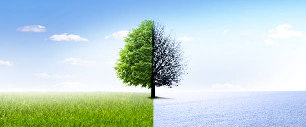 istock Change of season from winter to summer 1483812005